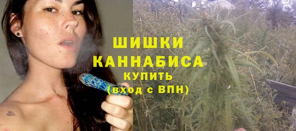 амф Аркадак