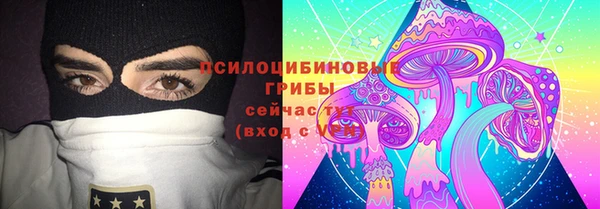 амф Аркадак
